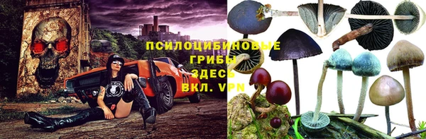 apvp Вязники